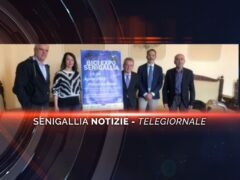 senigallia notizie telegiornale