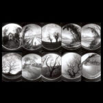 Opera di Delia Biele