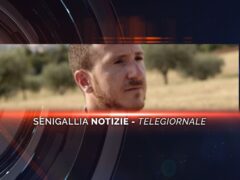 senigallia notizie telegiornale