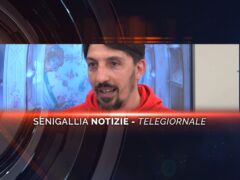 senigallia notizie telegiornale