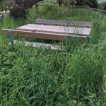 Incuria del verde a Filetto/Grottino di Senigallia