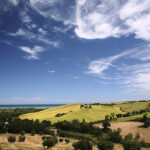Panorama delle colline senigalliesi