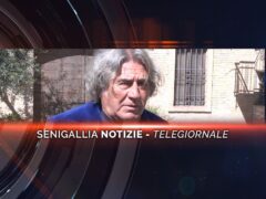 senigallia notizie telegiornale