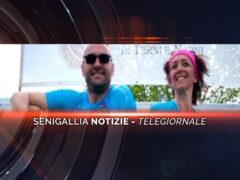 senigallia notizie telegiornale