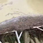 Grate del fosso Sant'Angelo durante la piena del 16 maggio 2023