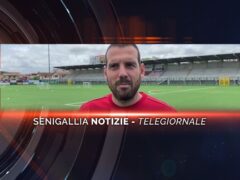 senigallia notizie telegiornale