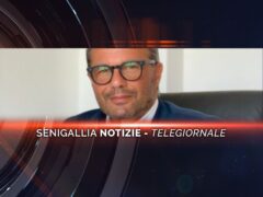 senigallia notizie telegiornale