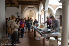 Workshop a Senigallia sulle antiche tecniche di stampa fotografica