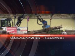 -senigallia notizie telegiornale