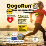 Dogorun