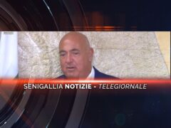 senigallia notizie telegiornale