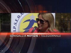 senigallia notizie telegiornale
