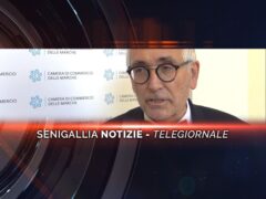 senigallia notizie telegiornale
