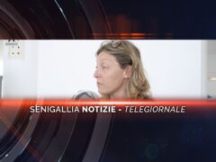senigallia notizie telegiornale