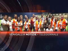 senigallia notizie telegiornale