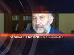 senigallia notizie telegiornale