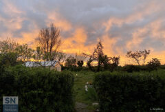 Passaggio per l'ardore - Foto Lorenzo Anselmo