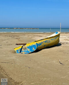 Sempre a galla - Foto Marco Marinelli