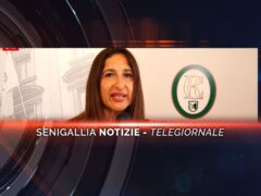senigallia notizie telegiornale