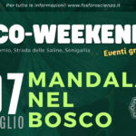 Eco-weekend - Mandala nel bosco