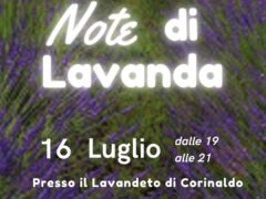 Concerto "Note di lavanda"