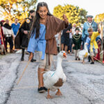 Festa Castellana a Scapezzano di Senigallia