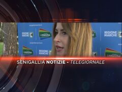 senigallia notizie telegiornale