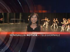 senigallia notizie telegiornale
