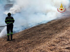 Incendio in un campo a Montignano di Senigallia, l'intervento dei Vigili del Fuoco