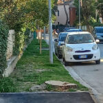 Alberi tagliati lungo viale A. Garibaldi