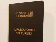 Passaporto del turista