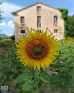 Sulla strada di casa - Foto Maria Antonietta Lucarini