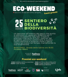 Eco-weekend il 25 agosto 2023 a BoscoMio - locandina