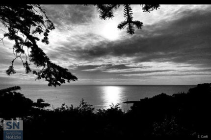 Marchigiana, 2023 - Foto Enzo Carli