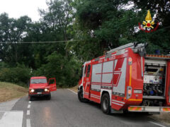 Rimozione albero caduto a Ostra Vetere su strada del Burello