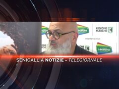 senigallia notizie telegiornale