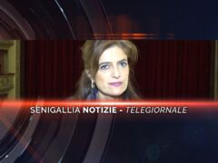 senigallia notizie telegiornale