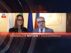 senigallia notizie telegiornale