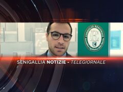 senigallia notizie telegiornale