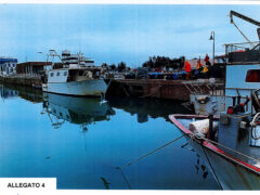 Foto storica del porto canale di Senigallia - Foto allegato 4