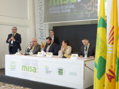 Convegno "Prendiamoci cura del Misa: raccogliere per contenere, promuovere, prevenire" - Olivetti, Maiani, Carloni, Gardoni, Montresor