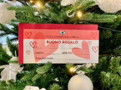 Gift Card natalizia di Ottica Casagrande Lorella di Senigallia