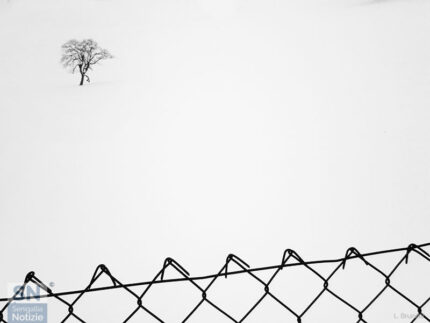 Neve - Foto Loriano Brunetti