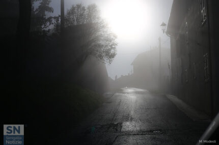 Dettagli nella nebbia - Foto Massimo Modesti