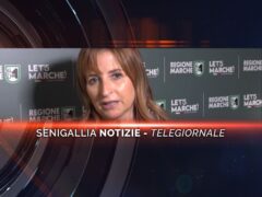 senigallia notizie telegiornale
