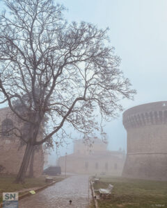 L'albero custode - Foto Giovanni Pettinari