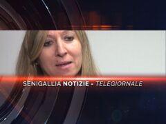 senigallia notizie telegiornale