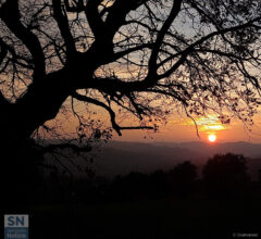 Luce al tramonto - Foto Claudio Cremonesi