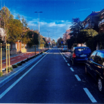 Viale Anita Garibaldi dopo l'abbattimento dei pini