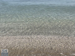 Acqua azzurra acqua chiara - Foto Rossano Morici